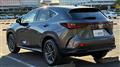 2024 Lexus NX
