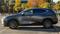 2024 Lexus NX