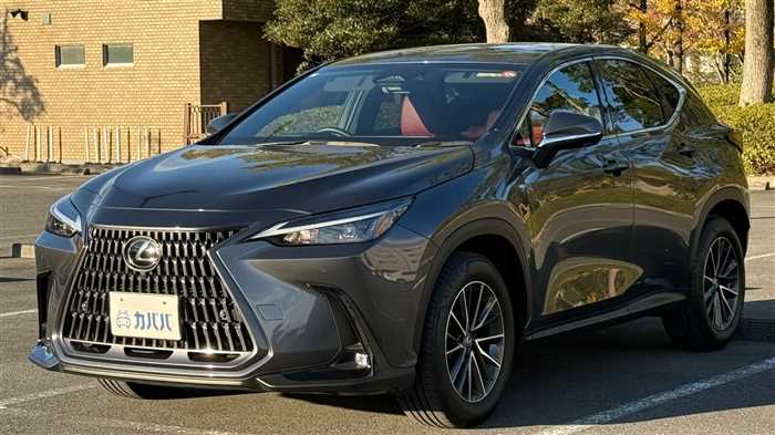 Lexus NX 2024 — фото 2 купить в Москве