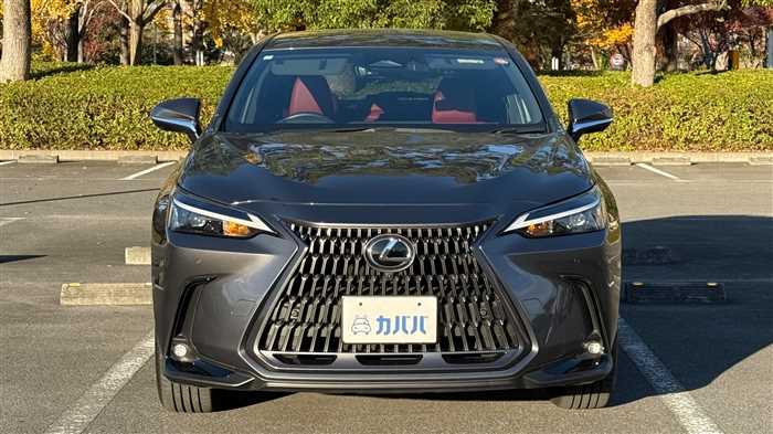 Lexus NX 2024 — фото 3 купить в Москве