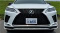 2019 Lexus RX