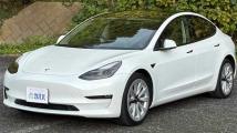 2021 Tesla Motors Others