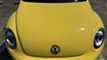 2013 Volkswagen Volkswagen Others