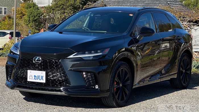 2024 Lexus RX