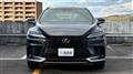 2025 Lexus RX