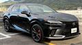 2025 Lexus RX