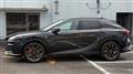 2025 Lexus RX