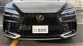 2025 Lexus RX