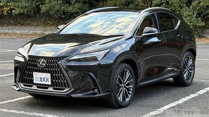 2023 Lexus NX