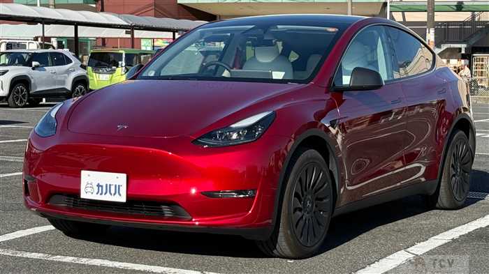 2024 Tesla Motors Others