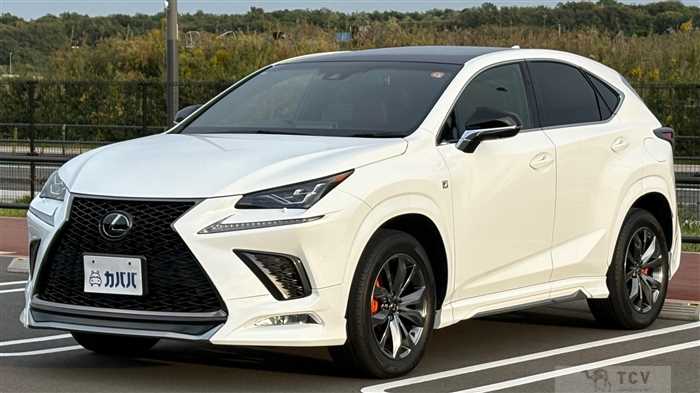 2019 Lexus NX