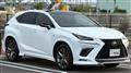 2019 Lexus NX
