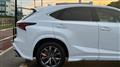 2019 Lexus NX