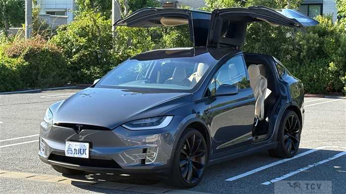 2017 Tesla Motors Others