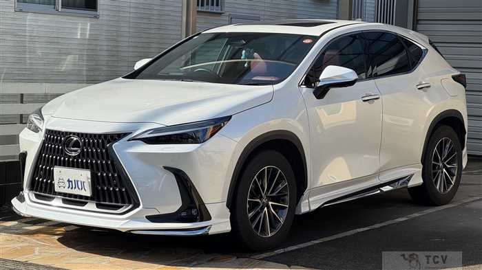 2023 Lexus NX
