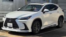 2023 Lexus NX