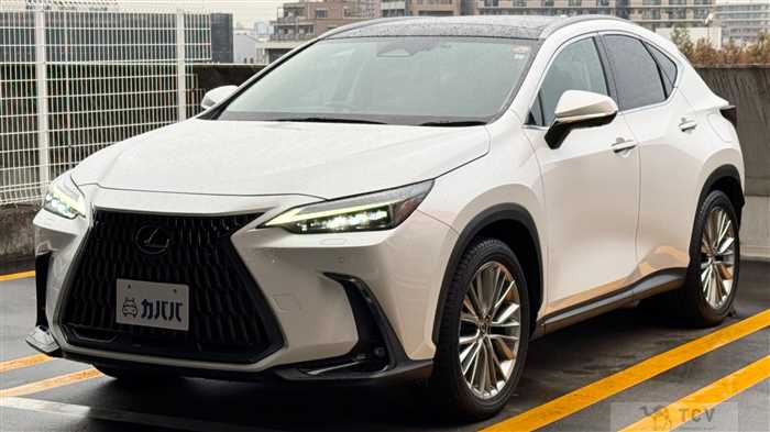 2023 Lexus NX