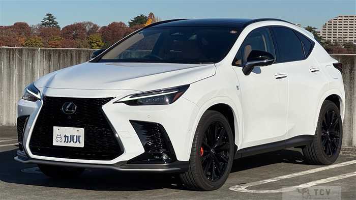 2024 Lexus NX