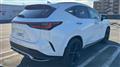 2024 Lexus NX
