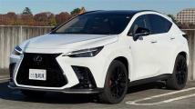 2024 Lexus NX