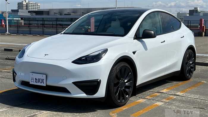 2023 Tesla Motors Others