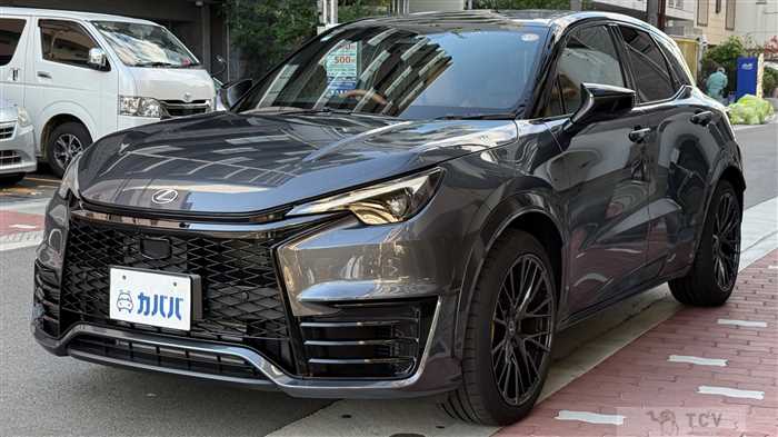2025 Lexus Other