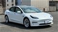 2021 Tesla Motors Others