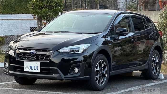 2019 Subaru Subaru Others