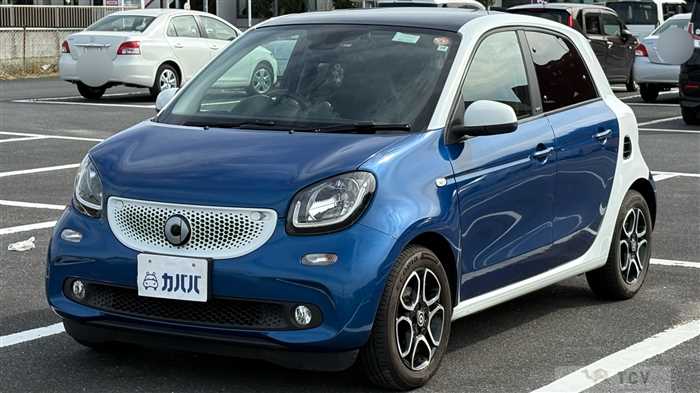 2016 Smart Smart Others