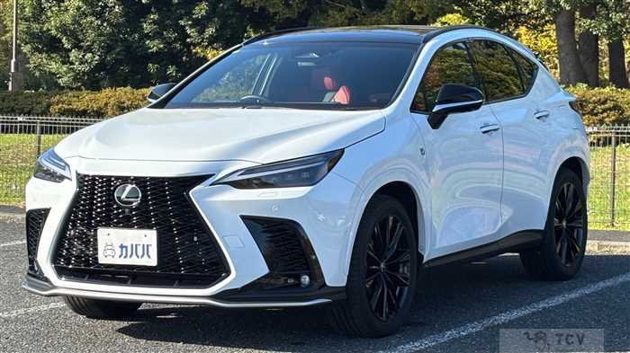 2025 Lexus NX