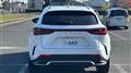 2025 Lexus NX