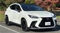 2025 Lexus NX