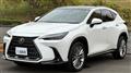 2023 Lexus NX