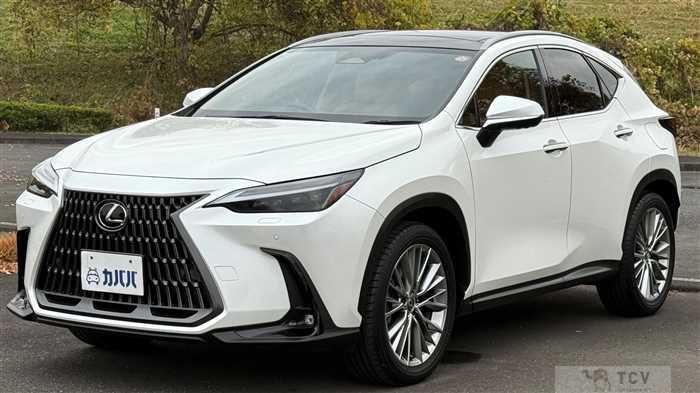 2023 Lexus NX