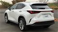 2023 Lexus NX