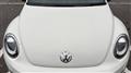 2013 Volkswagen Volkswagen Others