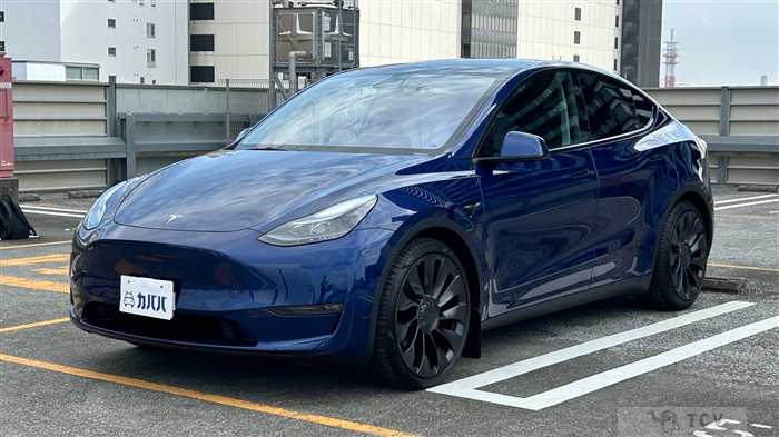 2022 Tesla Motors Others