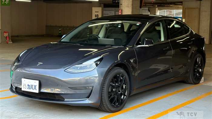 2020 Tesla Motors Others