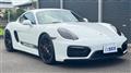 2014 Porsche Cayman