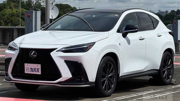 2023 Lexus NX
