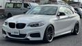 2014 BMW 2 Series