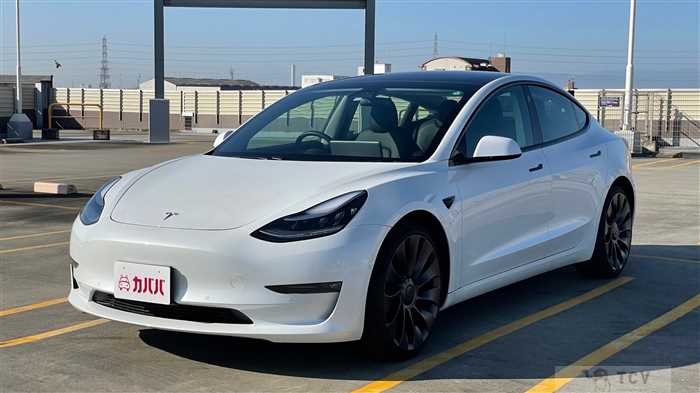 2020 Tesla Motors Others