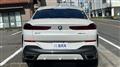 2022 BMW X6