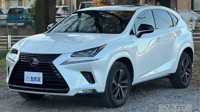 2020 Lexus NX