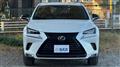 2020 Lexus NX