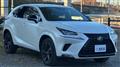 2020 Lexus NX