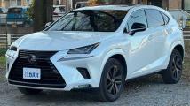 2020 Lexus NX