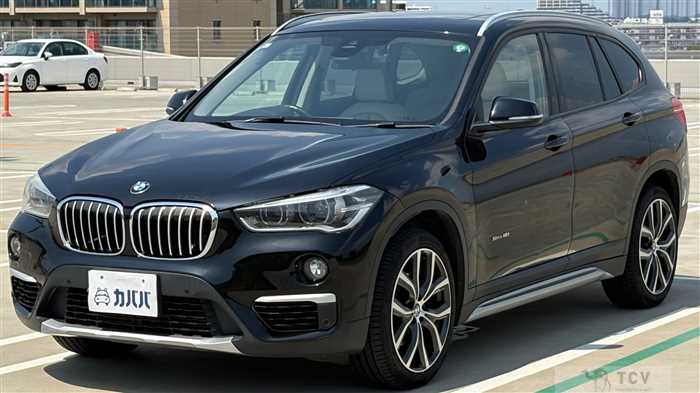 2017 BMW X1