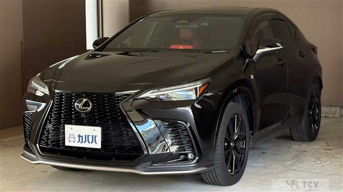 2023 Lexus NX