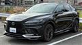 2025 Lexus RX